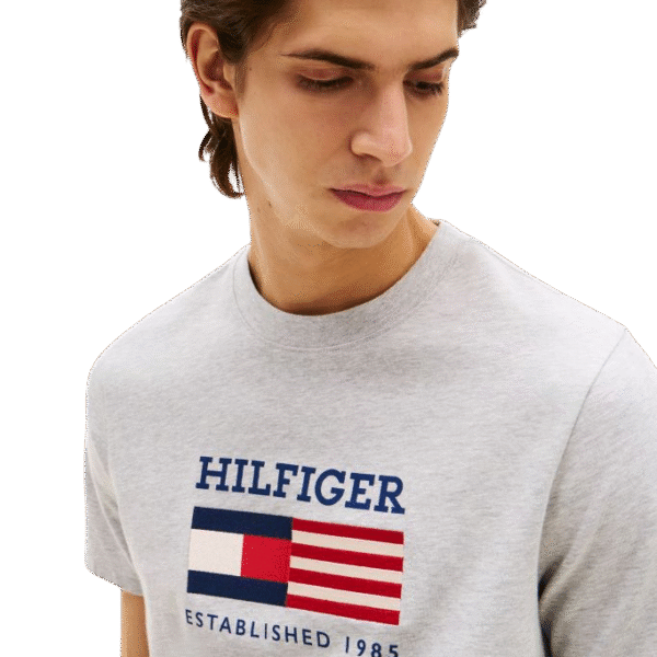 Camiseta Tommy - THMW0MW39843