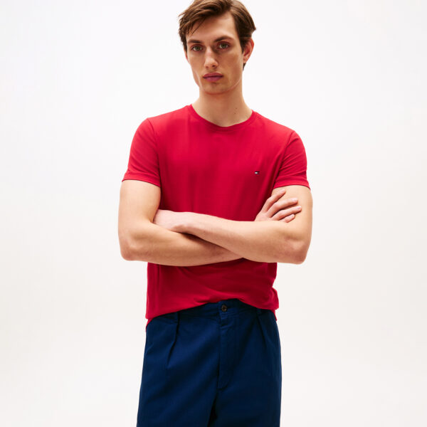 Camiseta Tommy - THMW0MW10800