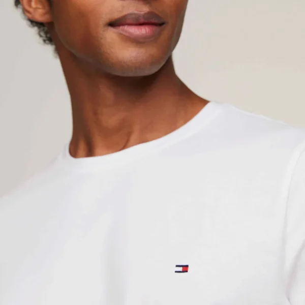Camiseta Tommy - THMW0MW27539