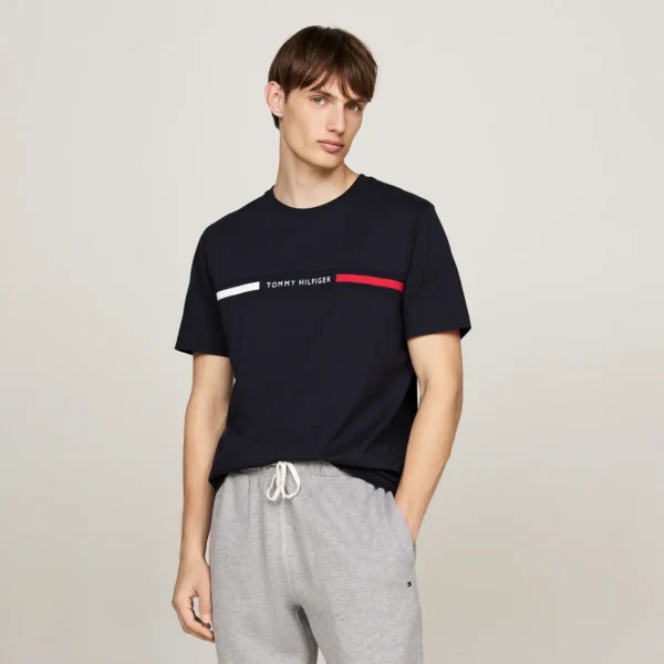 Camiseta Tommy - THMW0MW36498