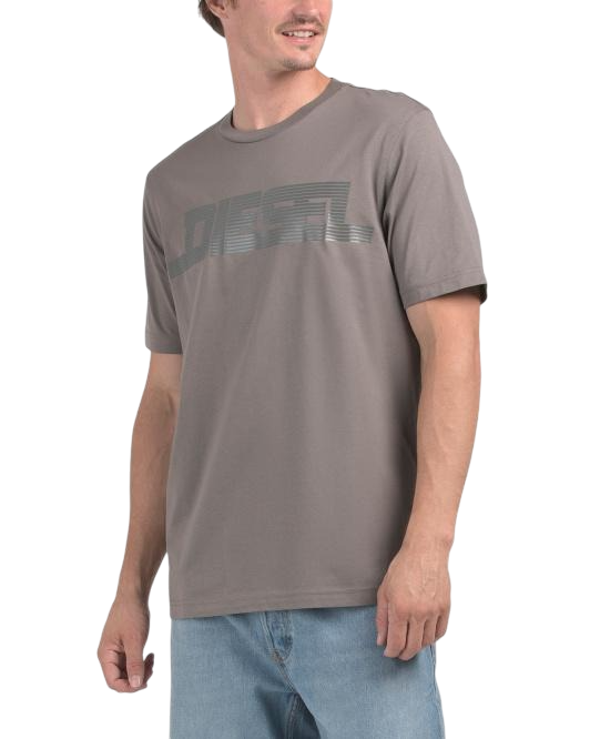 CAMISETA DIESEL – A16861