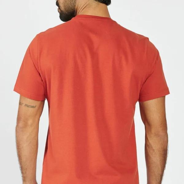 Camisa Aeropostale Marrom REF 87120119-3