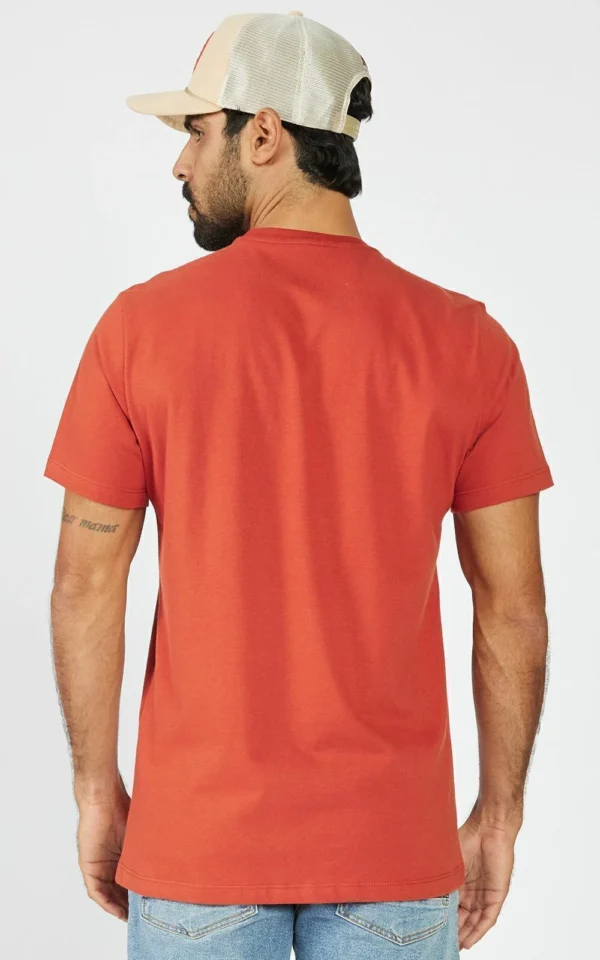 Camisa Aeropostale Marrom REF 87120119-3