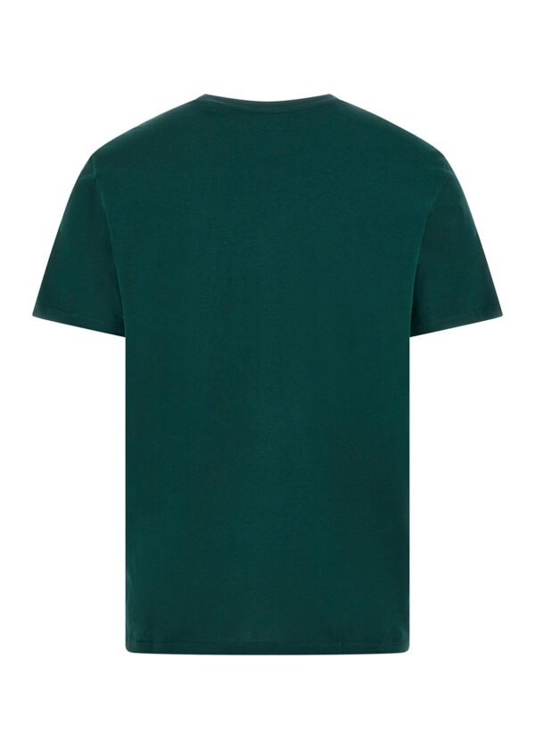 Camiseta Verde Guess – REF. M243RTSKE66ADKJDP