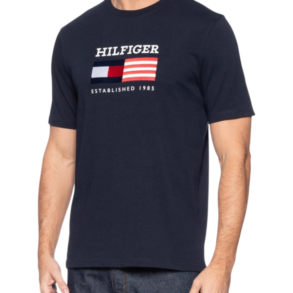 Camiseta Tommy - THMW0MW39843