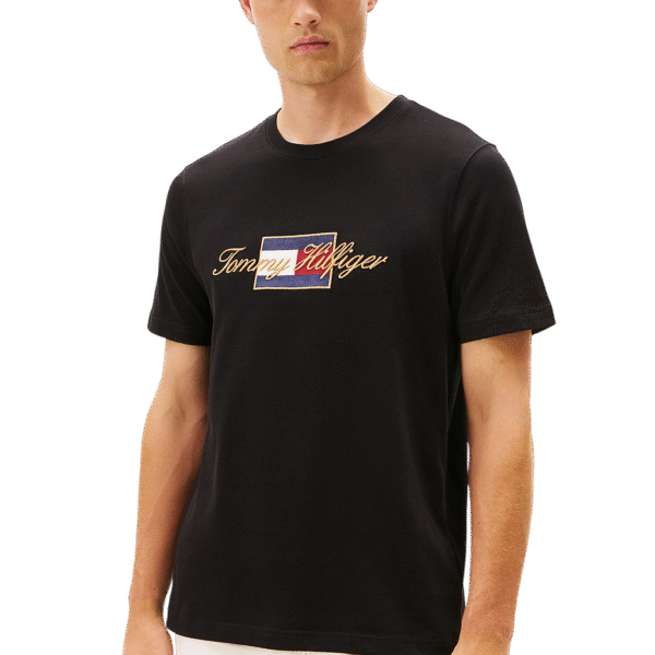 CAMISETA TOMMY - THMW0MW41500