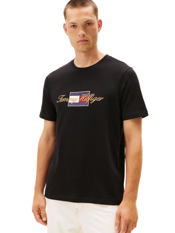 CAMISETA TOMMY – THMW0MW41500
