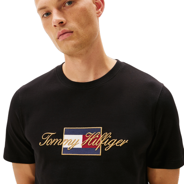 CAMISETA TOMMY - THMW0MW41500