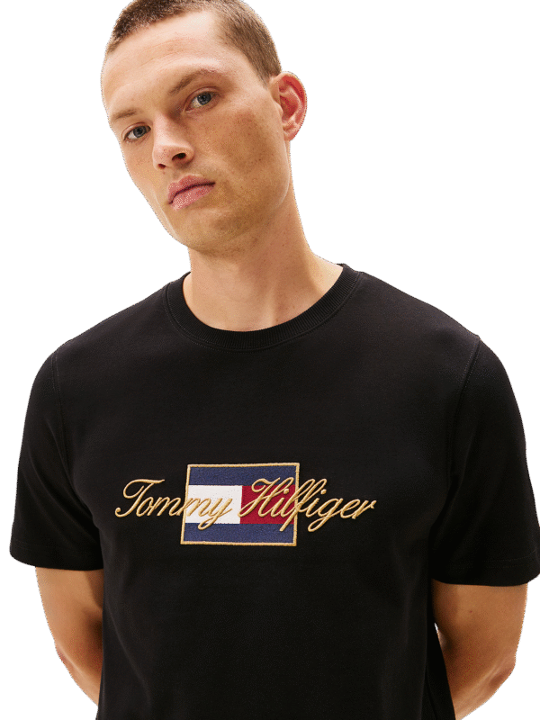 CAMISETA TOMMY – THMW0MW41500