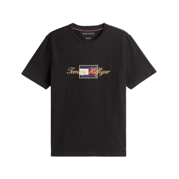 CAMISETA TOMMY - THMW0MW41500