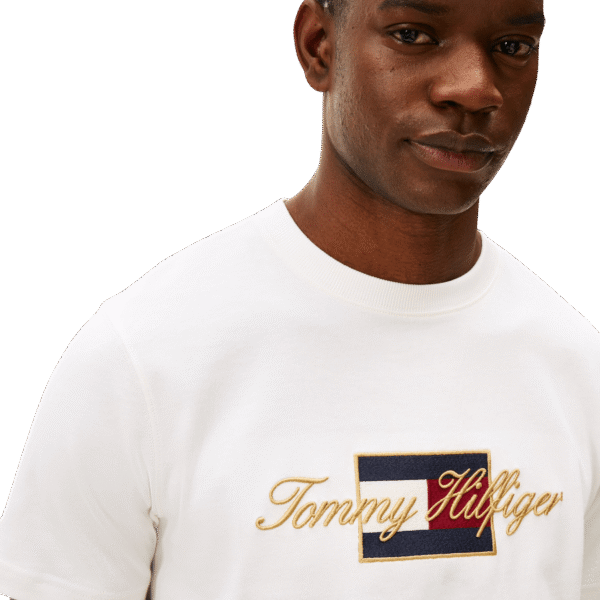 CAMISETA TOMMY - THMW0MW41500
