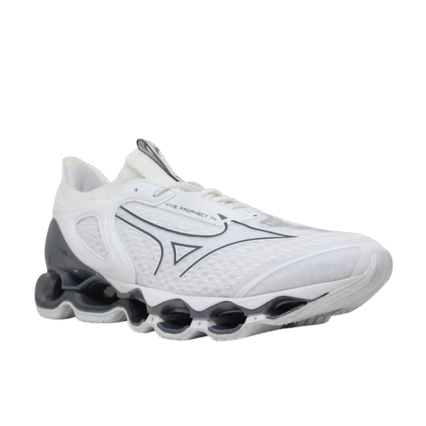 TÊNIS MIZUNO PROPHECY 14 - BCCZMT