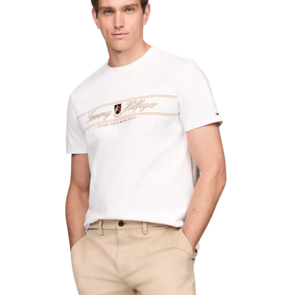 Camiseta Tommy - 78JA906