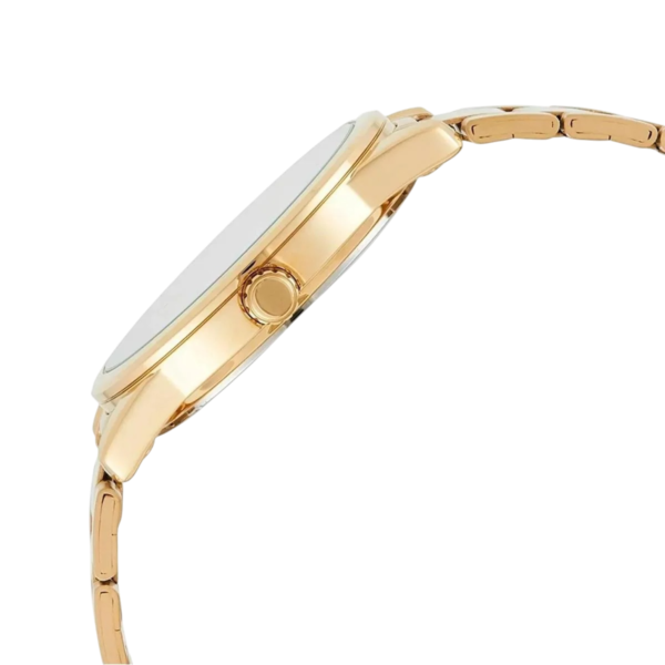 RELÓGIO CASIO - LTC-100G-9EVDF -SC