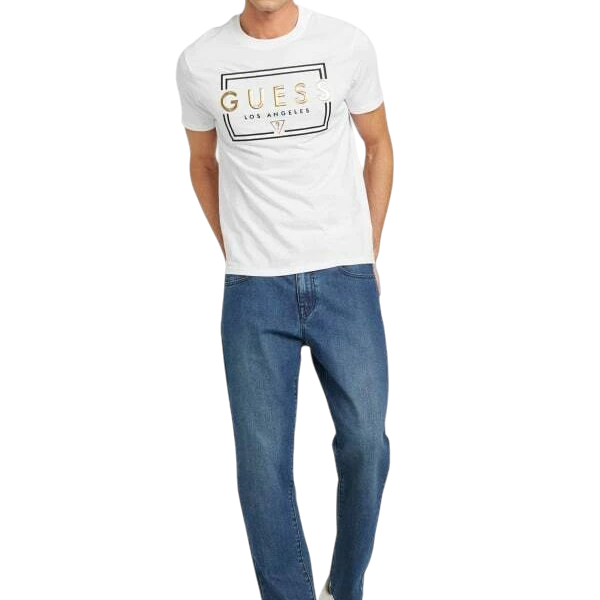 CAMISETA GUESS - XBRI1E