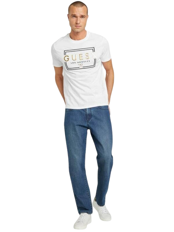CAMISETA GUESS – XBRI1E