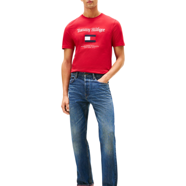 CAMISETA TOMMY HILFIGER - THMWOMW42736