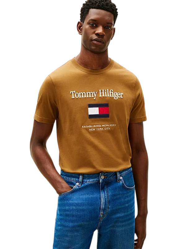 CAMISETA TOMMY HILFIGER – THMWOMW42736