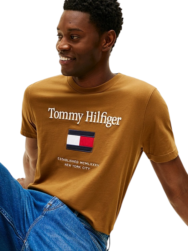CAMISETA TOMMY HILFIGER – THMWOMW42736