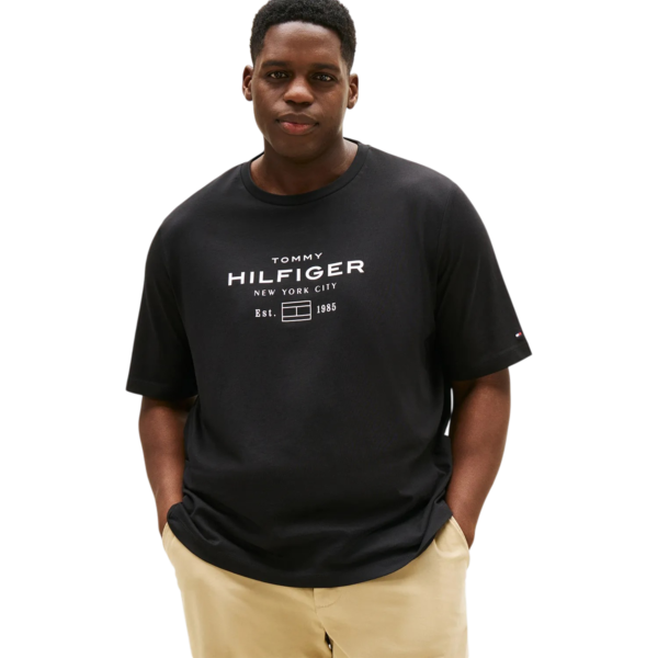 CAMISETA TOMMY HILFIGER REF: THMW0MW42059