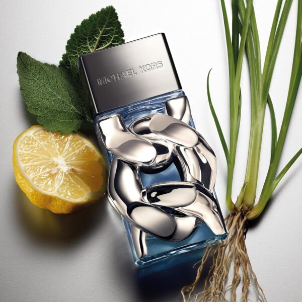MICHAEL KORS POUR HOMME EAU DE PARFUM - PERFUME MASCULINO 100ML REF: PERFUMEMICHAELKORS