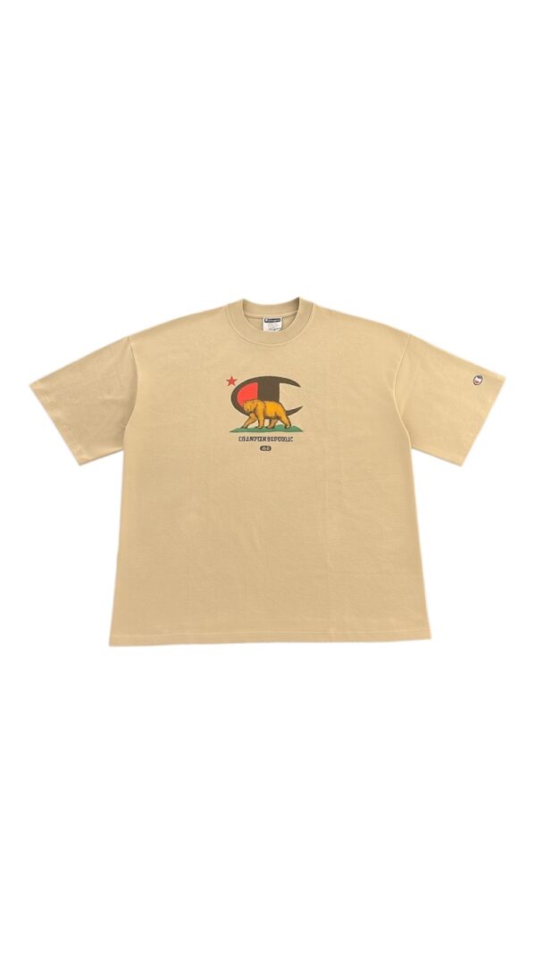 CAMISETA CHAMPION – T79188B BEARRP