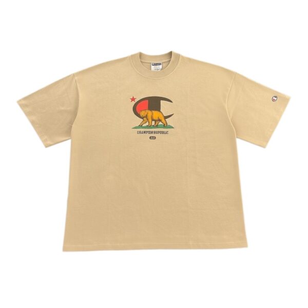 CAMISETA CHAMPION - T79188B BEARRP